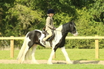 SBM_67393