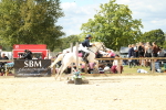 SBM_41345