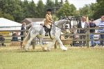 SBM_15995