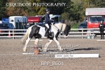BPP_8604