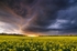 z2077 Evening Storm over Ashey