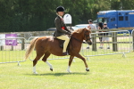 SBM_06781