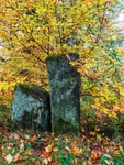 Vacca Wall in Autumn