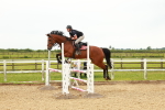 SBM_001986