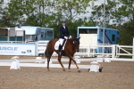 SBM_00324