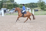 BPP_4431