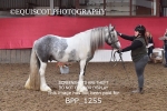 BPP_1255