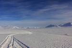 Kaldbukta 6185