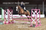 CLASS 13 Pony Newcomers/ 1m Open (both to Inc The Pony Restricted Rider Qualifier) portfolio