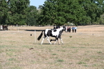 WJ6_7235