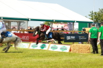 SBM_04584