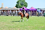 SBM_13916