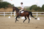 SBM_009073
