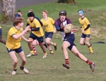 Bradford Grammar School Rugby portfolio