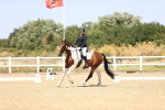 SBM_010537