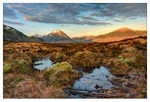 Dawn on the Moor