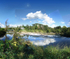 Katterskill Creek 2021