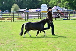 SBM_03426