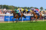 130826-Race 1-Not My Type-7861