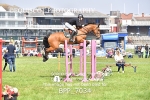 BPP_7034