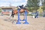 BPP_3460