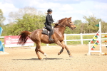 SBM_004480