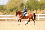SBM_018595