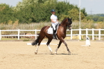 SBM_022246