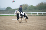 SBM_003373
