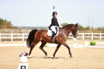 Class 12 - Novice 5 - 10.31-11.41 portfolio
