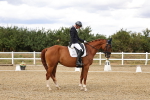 SBM_006503