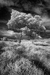 Hathersage