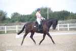 SBM_008278_Novice 5 - 1056-1312