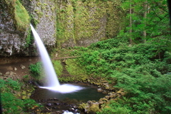 Oregon State portfolio