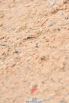 231013A-153806-03074