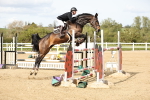 Class 6 - national 1.30m 1.40m portfolio
