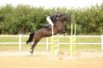 SBM_009966