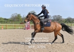 BPP_3705