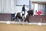 SBM_000245
