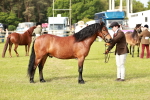 SBM_00475