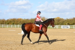 SBM_002091