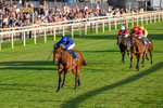 240726-Race 5-Diamond Rain-0537