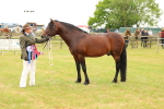SBM_04313