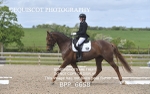 BPP_6658