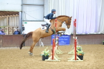 SBM_010711