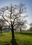Wimpole Sony7iii Dec18-3