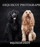 equiscot1609