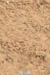 230720A-123214-02574