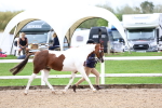 SBM_00259