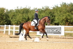 SBM_007598